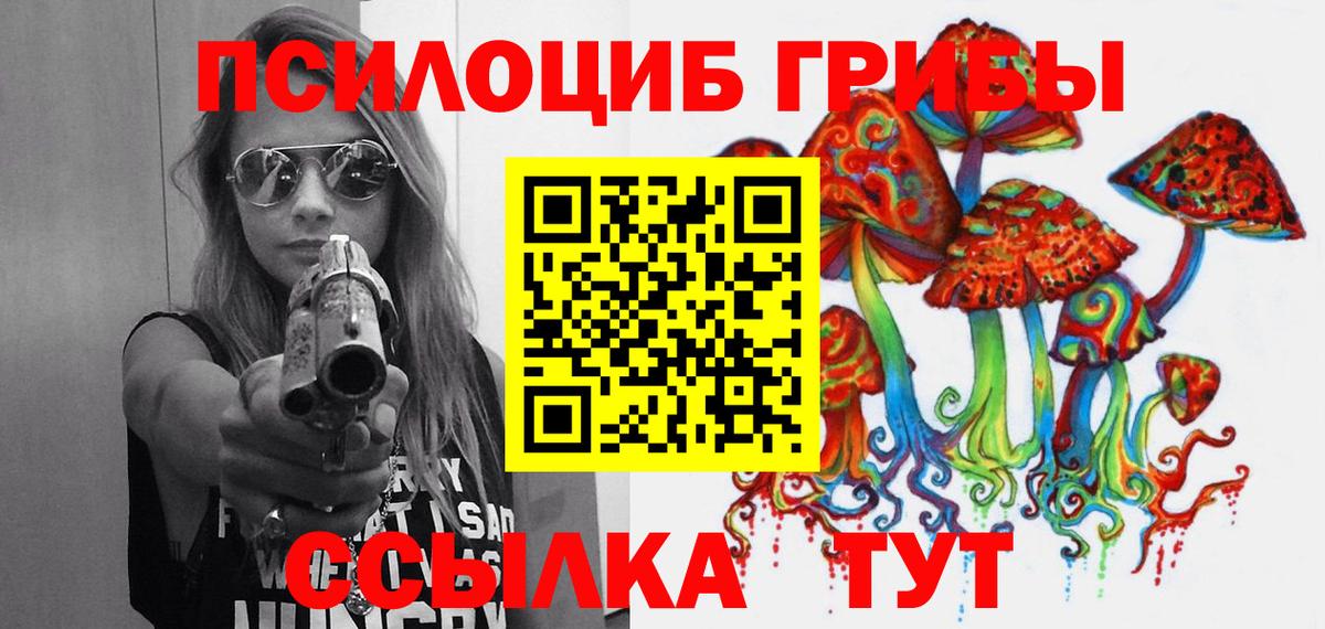 Сафоново  Псилоцибиновые грибы Psilocybe  Псилоцибиновые грибы Cubensis  Вход с VPN 